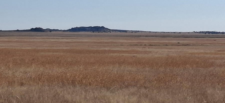  Bedroom Property for Sale in Bloemfontein Rural Free State